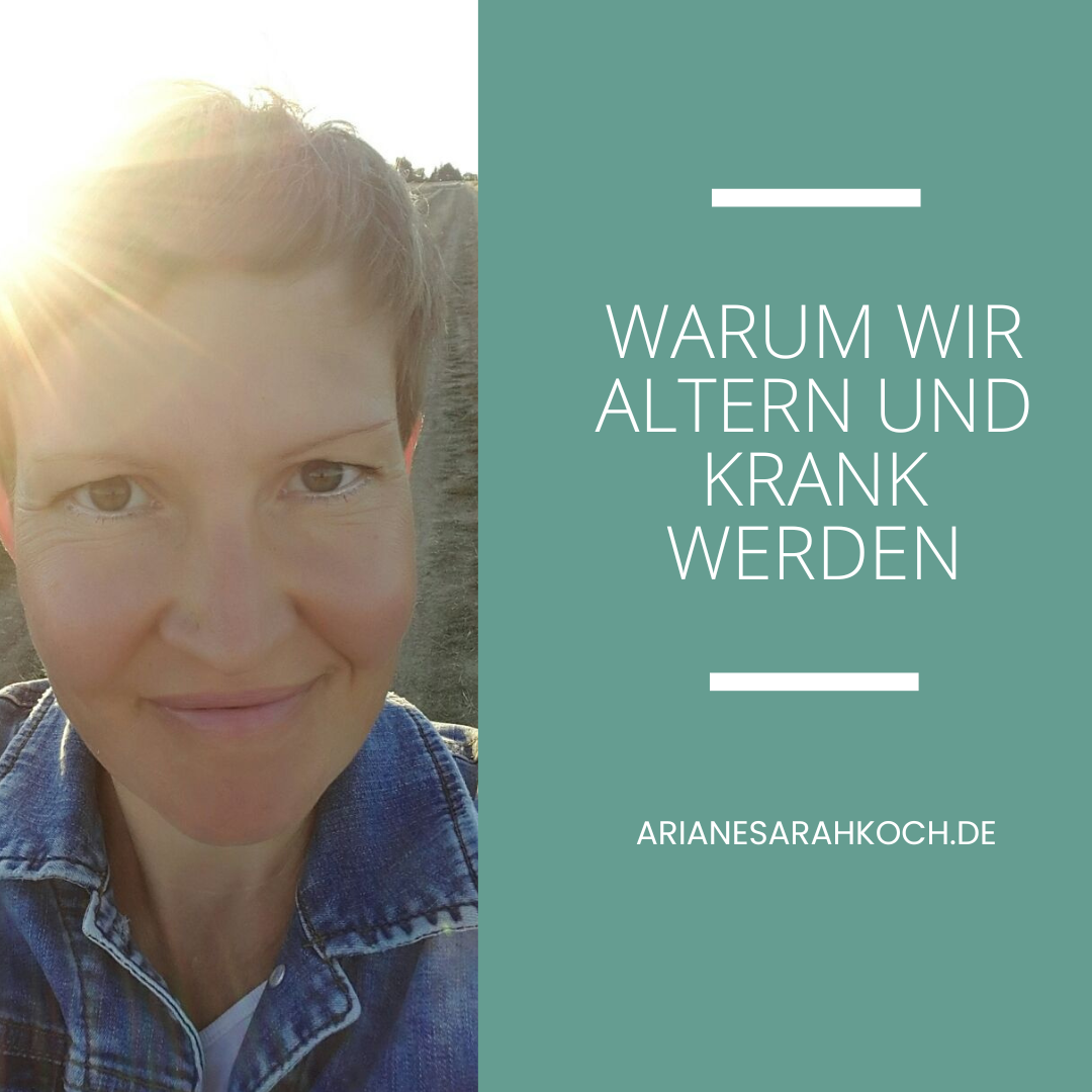 warum wir altern.png